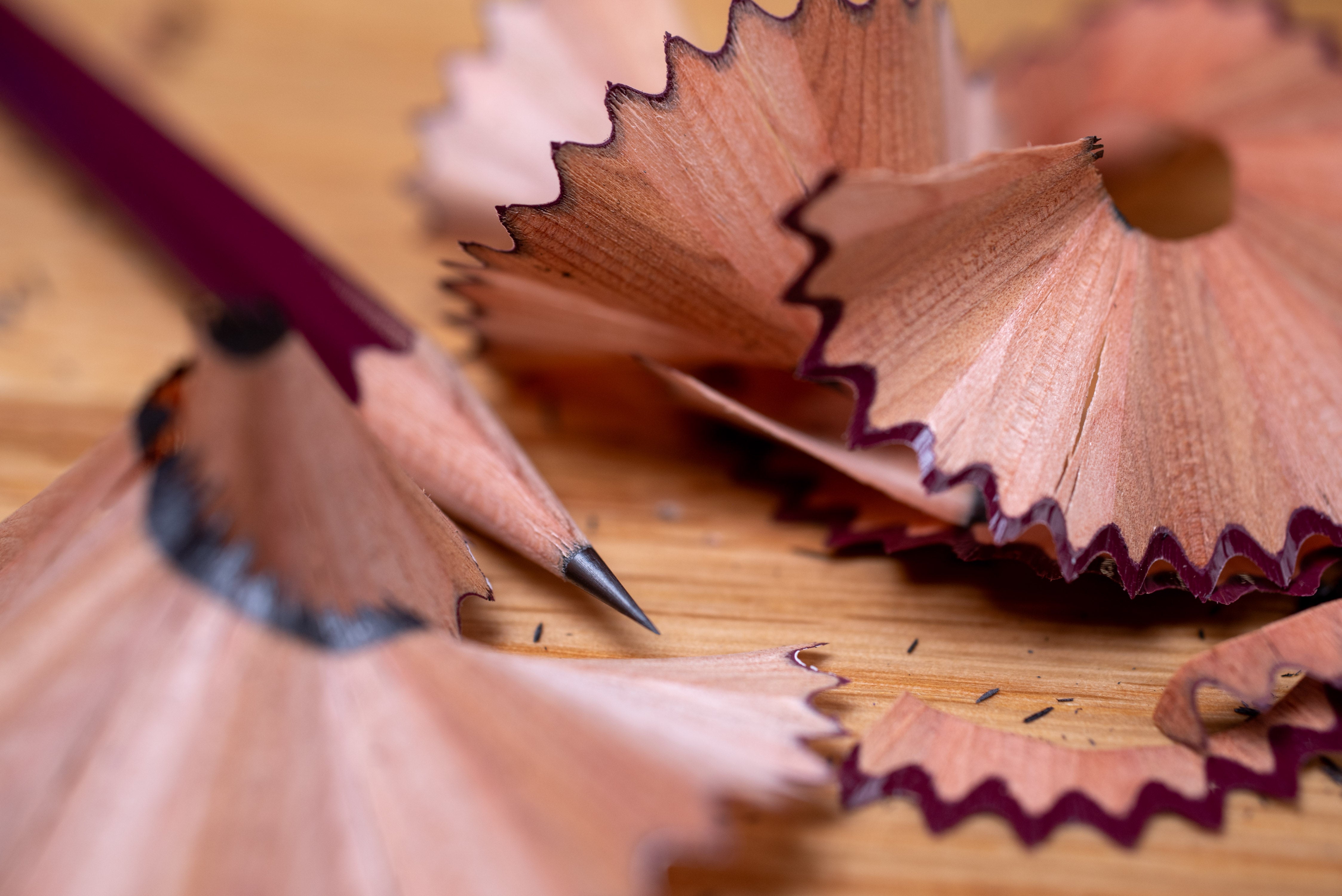 Sale Eligible Items 2024