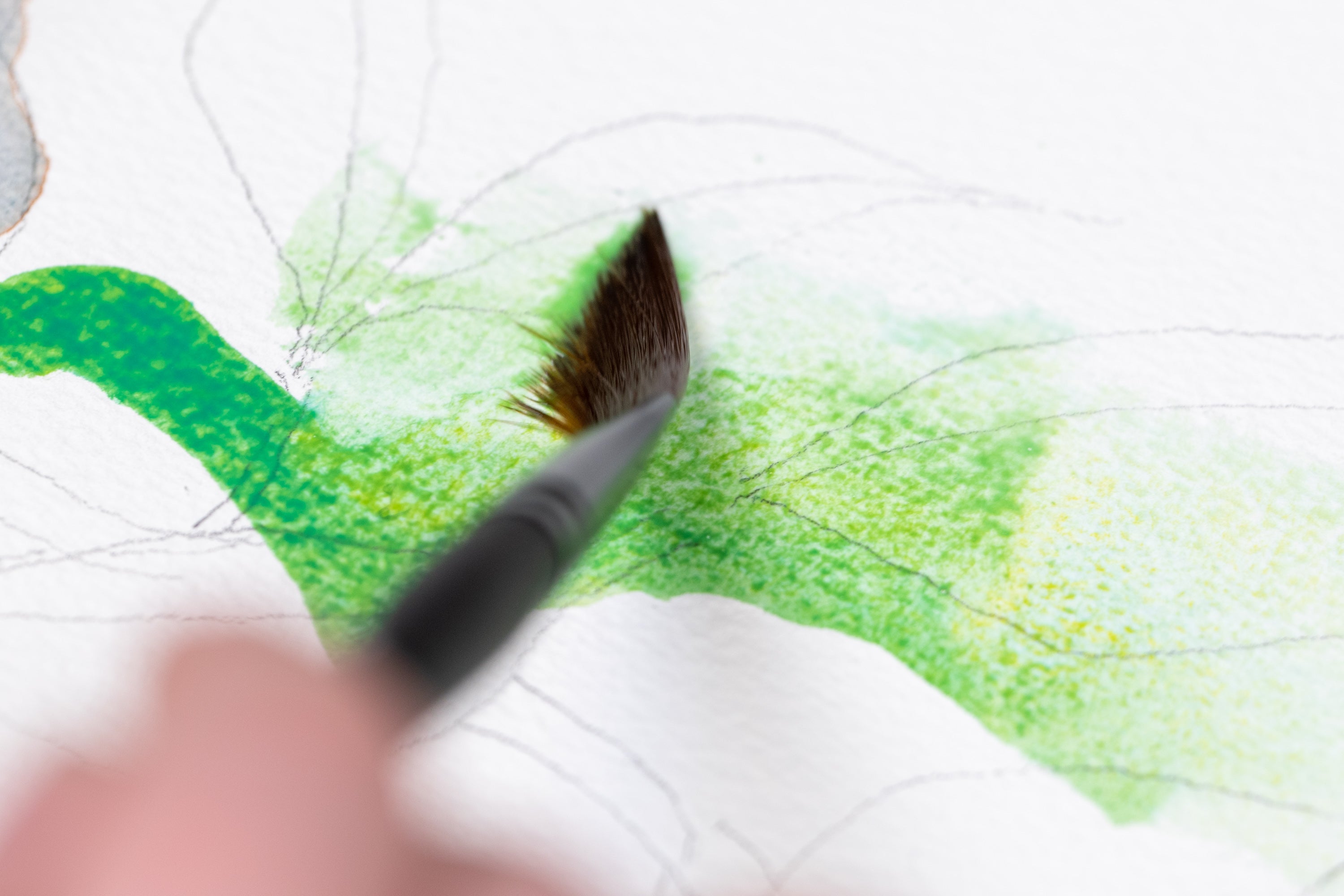 Schmincke Horadam Watercolors