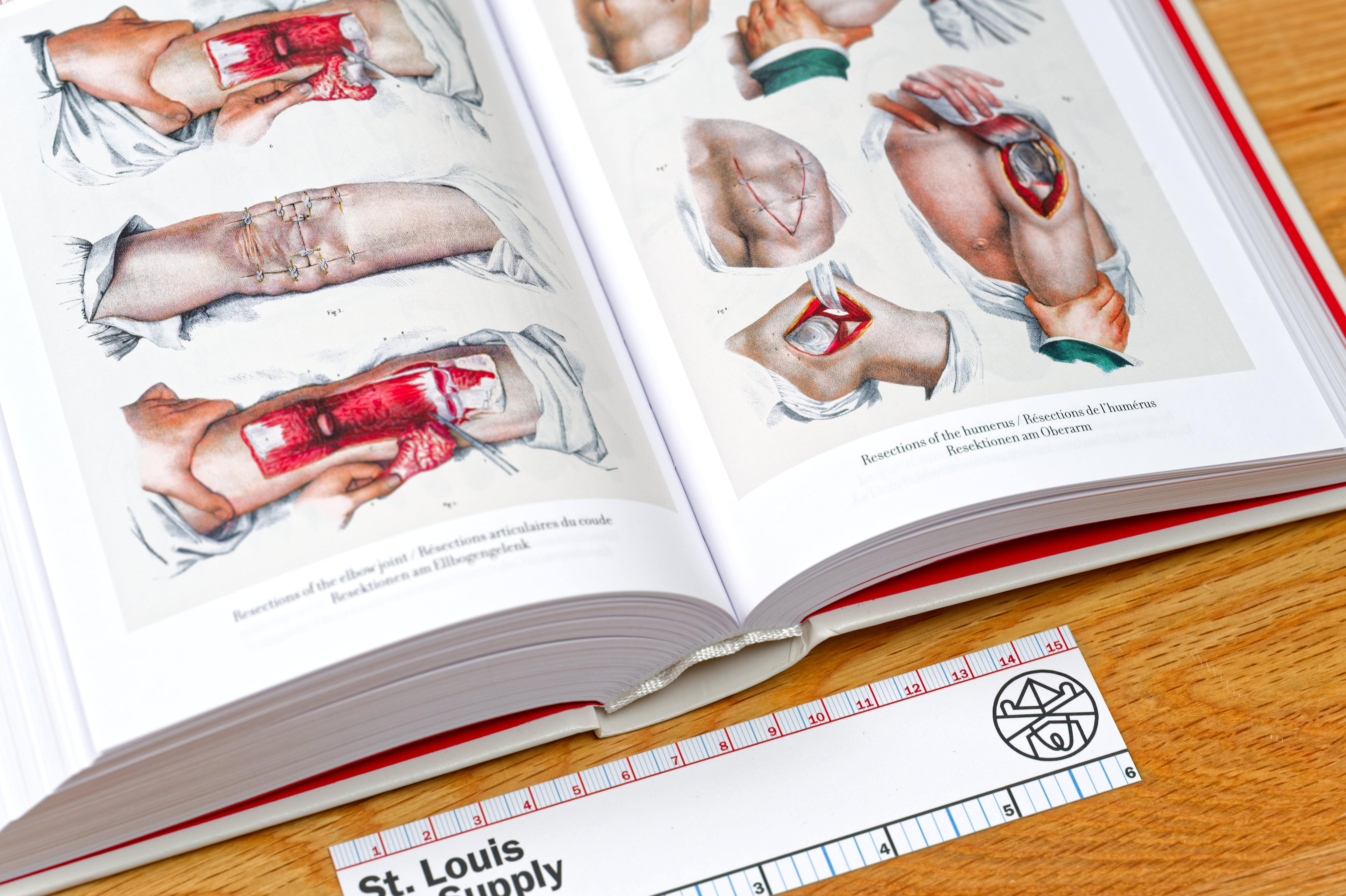 Atlas of Human Anatomy and Surgery (Bibliotheca Universalis)