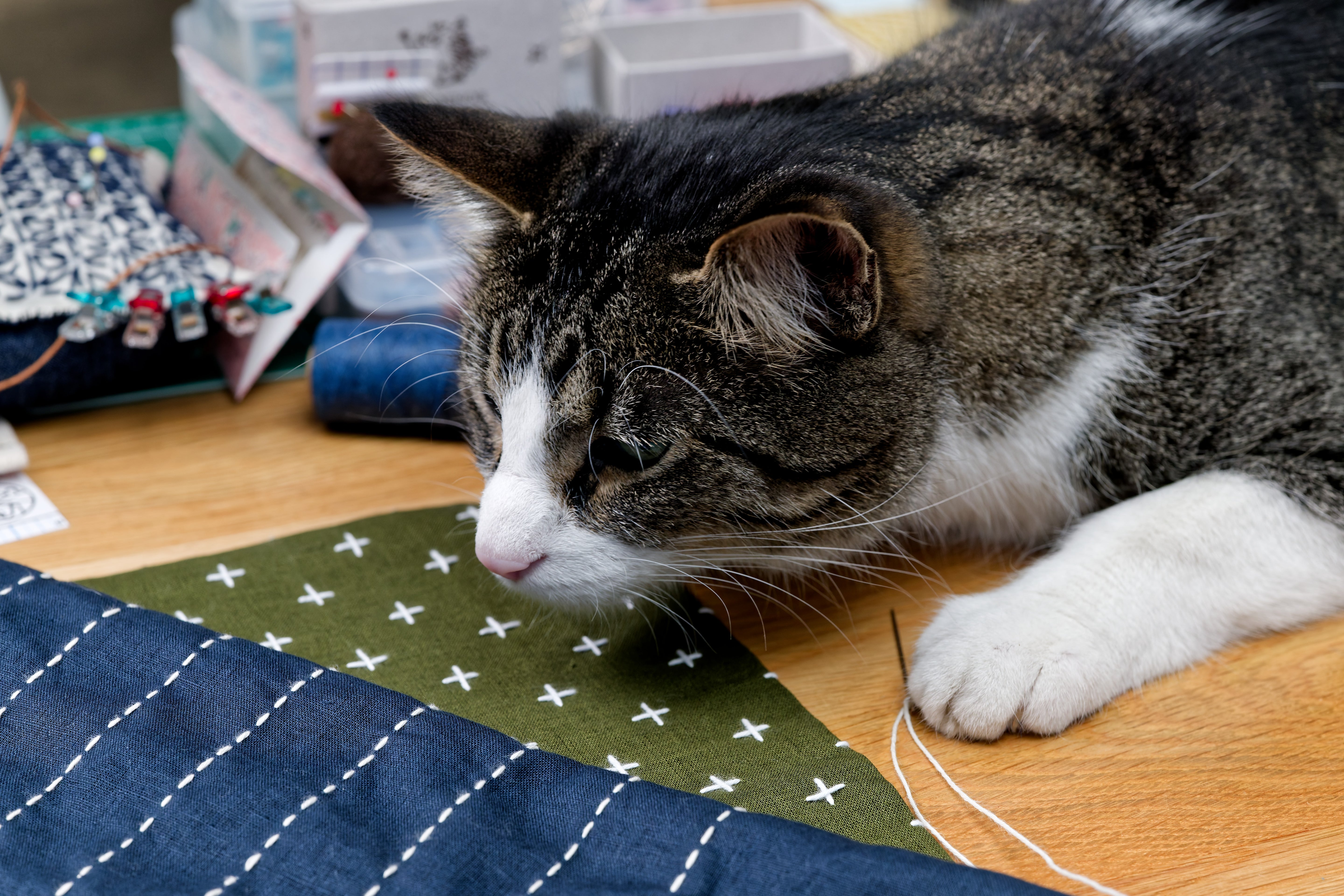 Sashiko Cloth with Disappearing Lines (Brown/Plusses)
