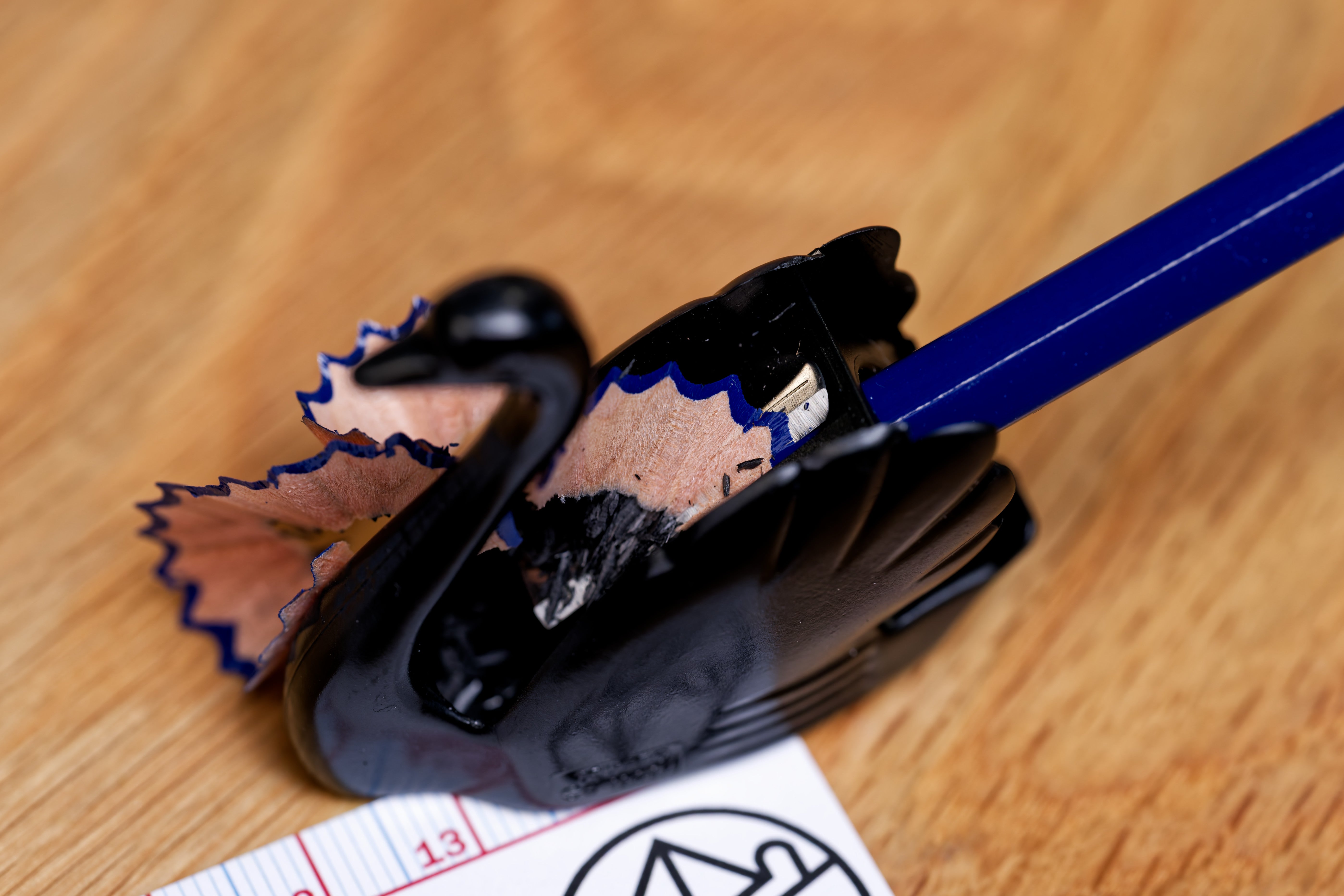 Black Swan Pencil Sharpener