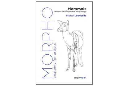 Morpho Anatomy Handbooks: Mammals