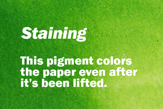 Staining. This pigment colors the paper even after it's been lifted.