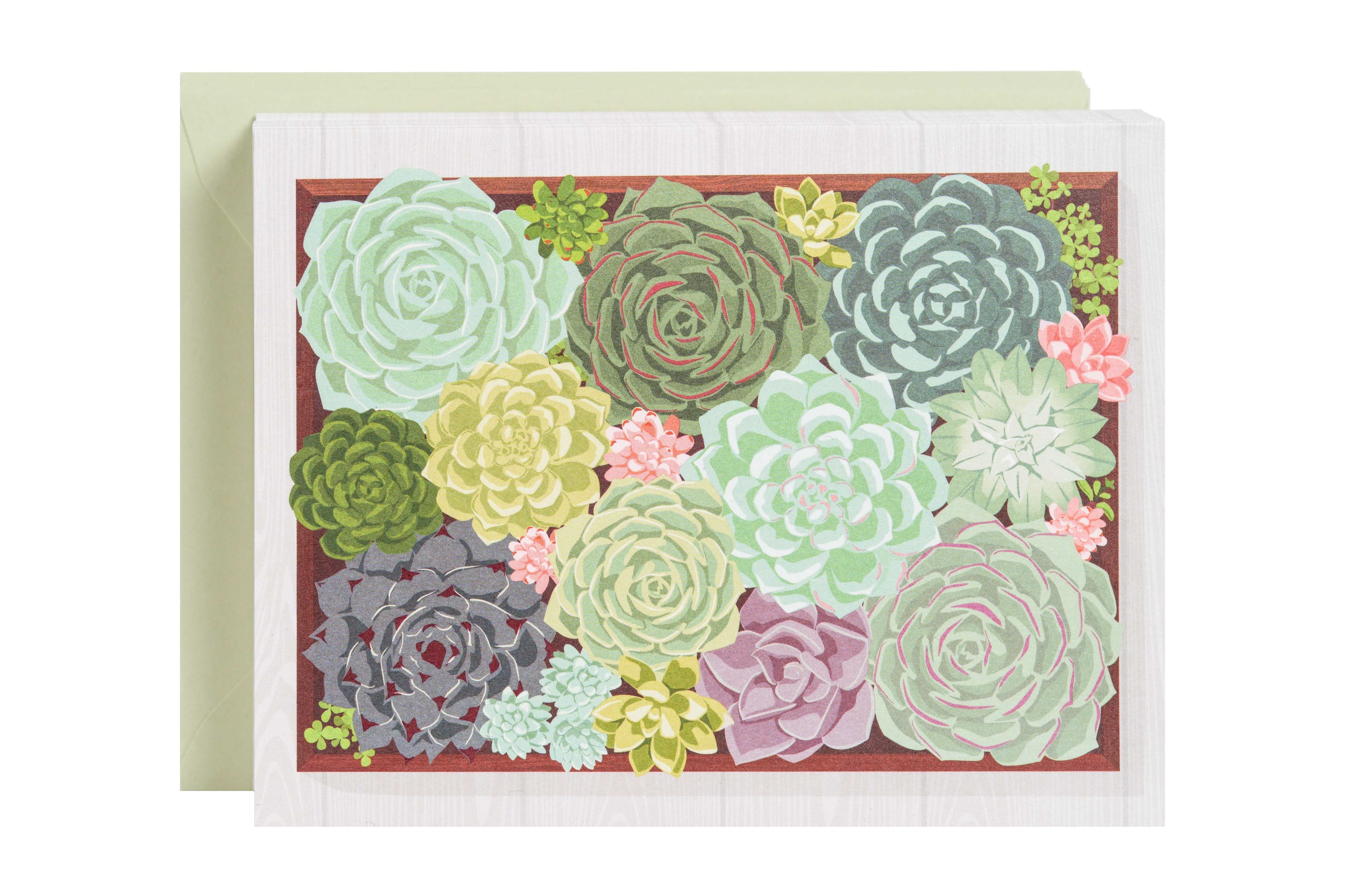 Succulents Blank Card Set