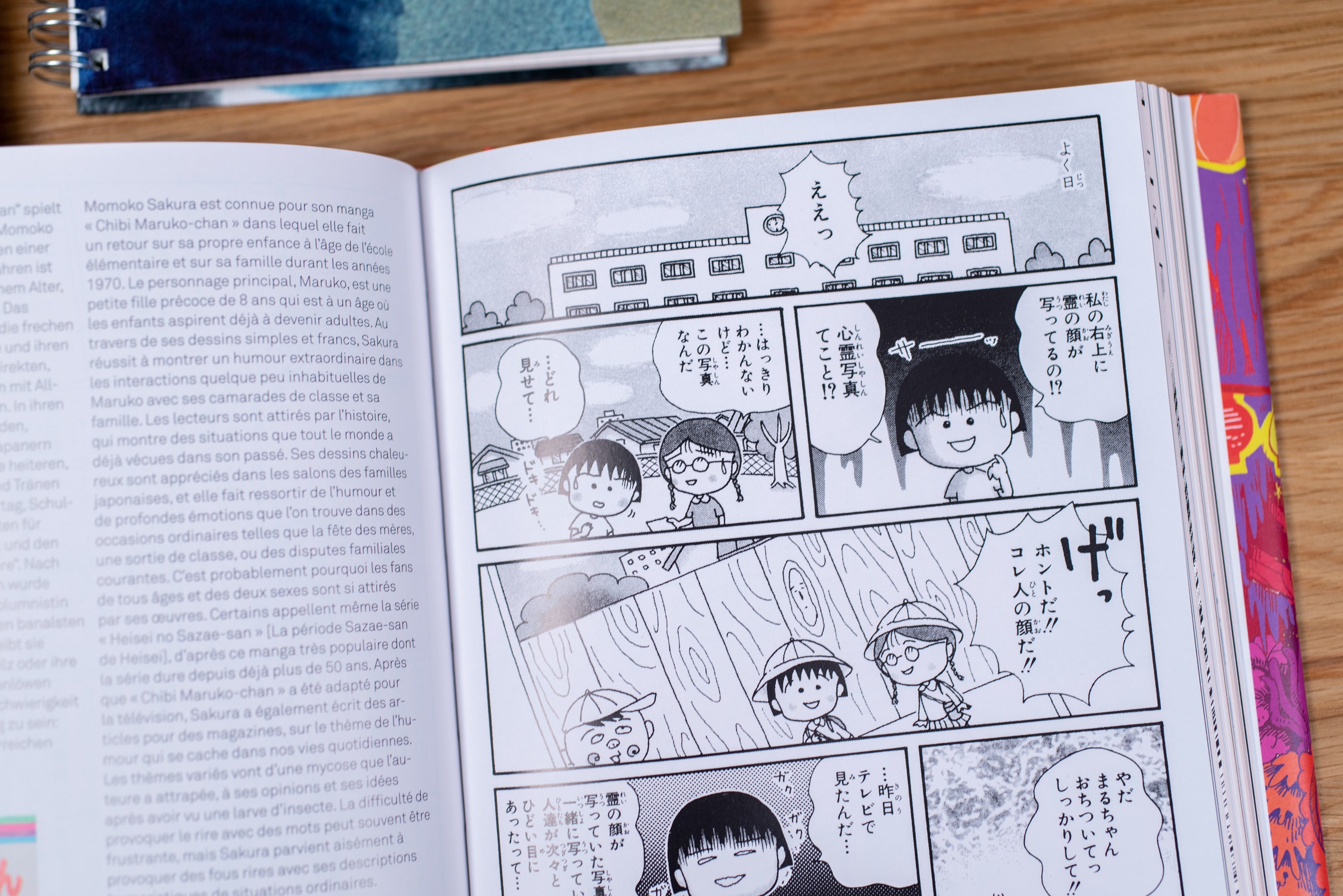 100 Manga Artists (Bibliotheca Universalis)