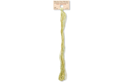 6-Strand Embroidery Floss, #1183 Artichoke