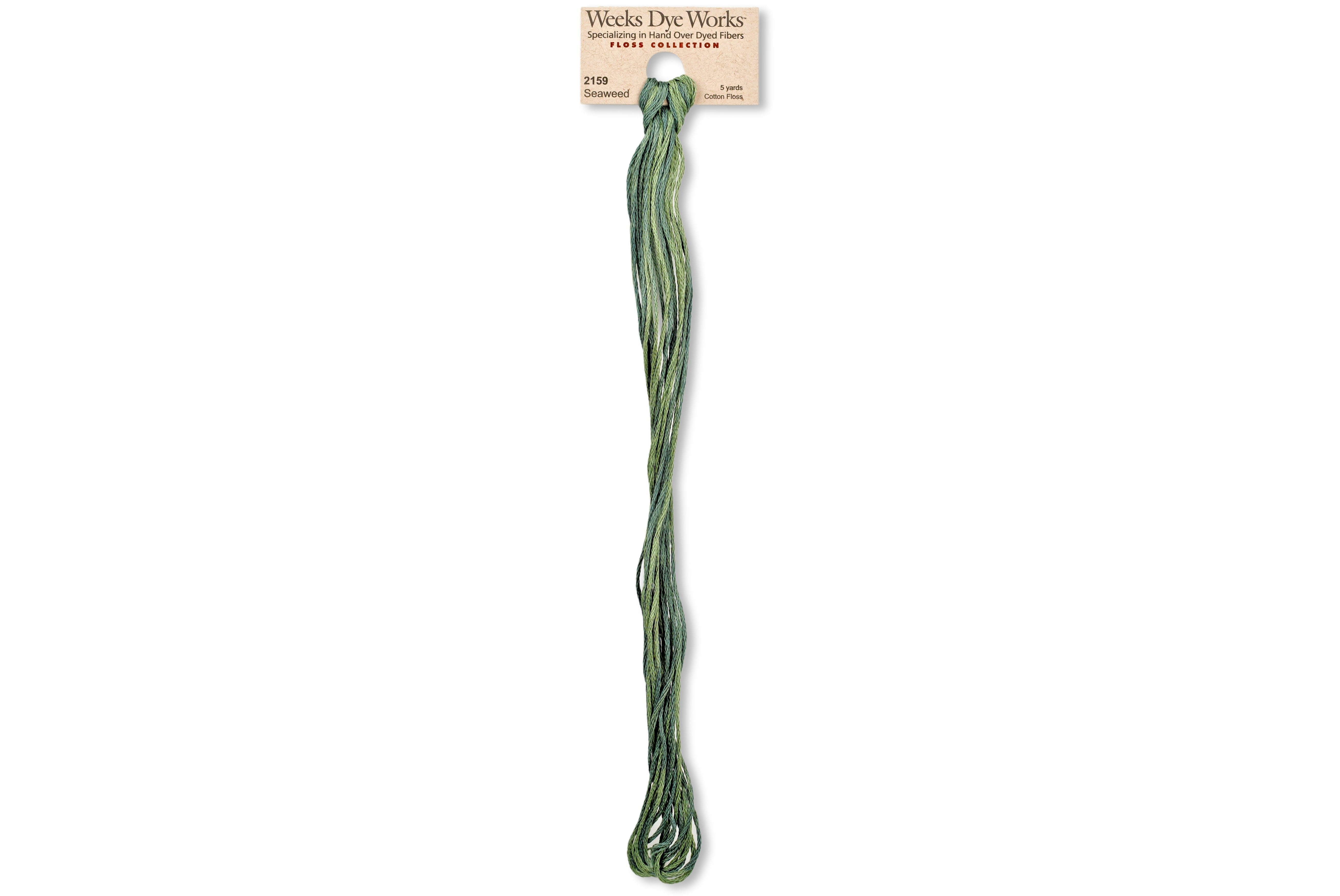 6-Strand Embroidery Floss, #2159 Seaweed