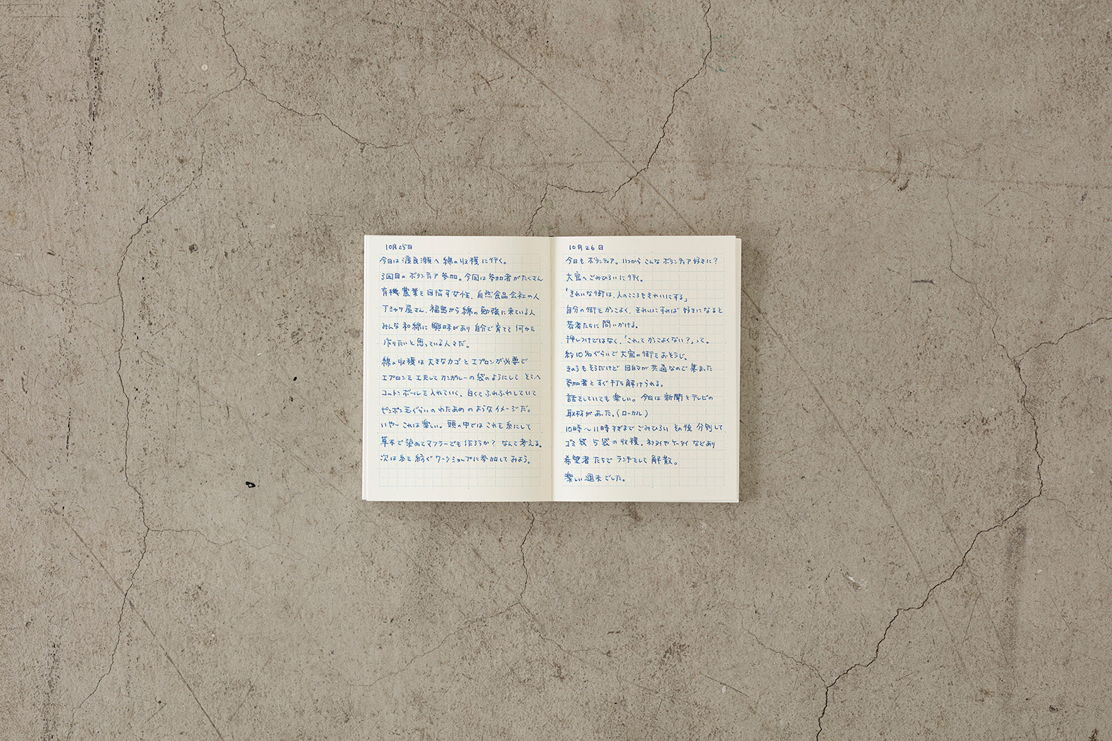 MD Notebook, A6 Grid