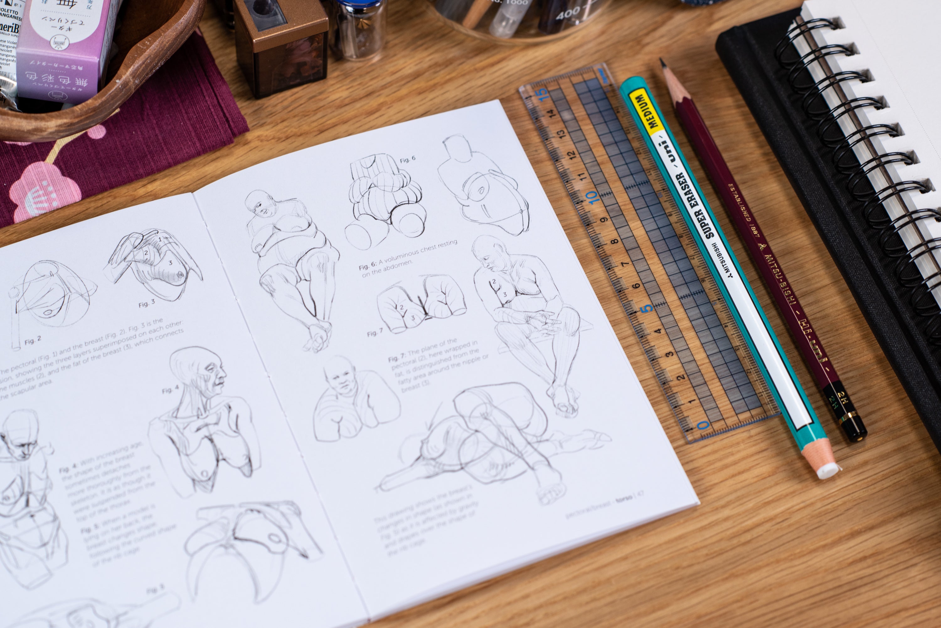 Morpho Anatomy Handbooks: Fat and Skin Folds