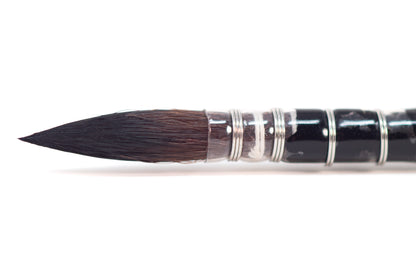 Raphaël - Softaqua Travel Brushes - St. Louis Art Supply