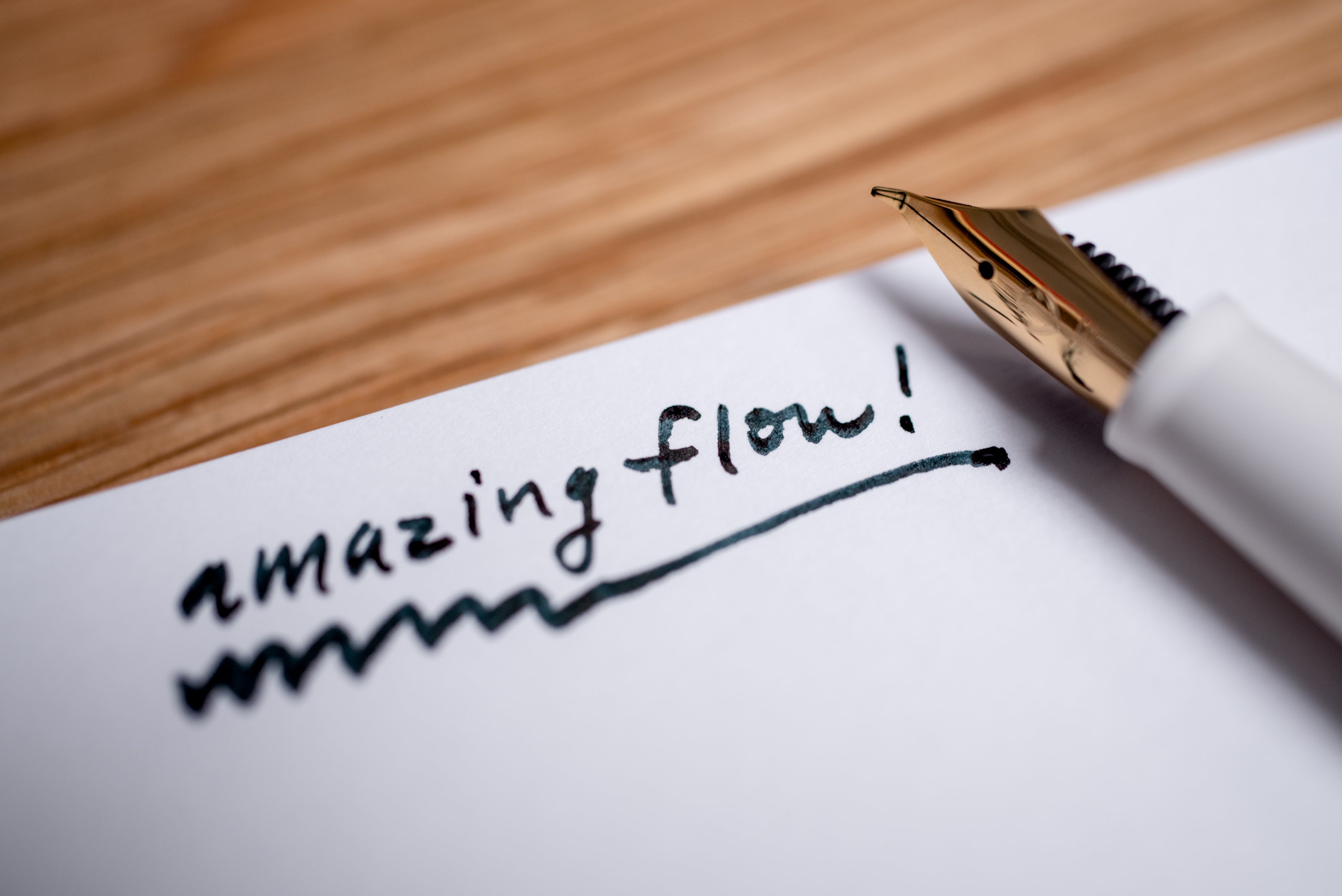 Fude DE Mannen Fountain Pen, White (40°)