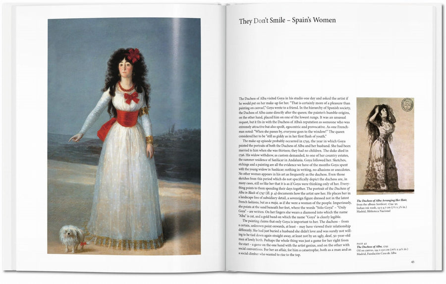 Goya (Basic Art)