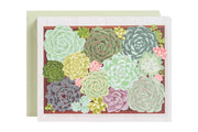 Succulents Blank Card Set