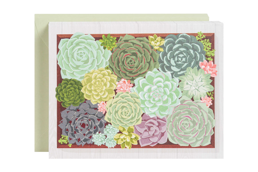 Succulents Blank Card Set