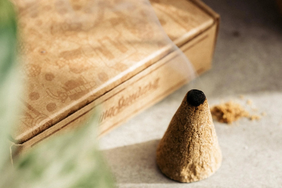 Palo Santo Incense Cones, Box of 10
