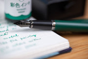 Teranishi Guitar Fountain Pen, Green