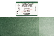 Schmincke - Horadam Watercolor Full Pan, #515 Olive Green - St. Louis Art Supply