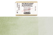Schmincke - Horadam Watercolor Full Pan, #516 Earth Green - St. Louis Art Supply
