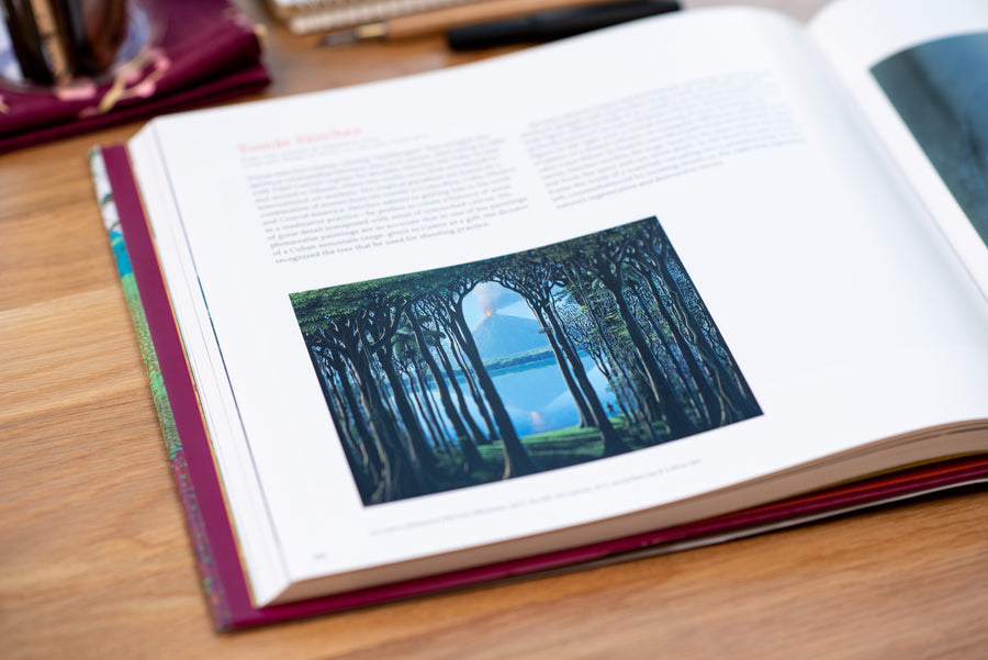 Artbook/DAP - Landscape Painting Now - St. Louis Art Supply