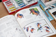 Heyday Books - The Laws Guide to Nature Drawing and Journaling - St. Louis Art Supply
