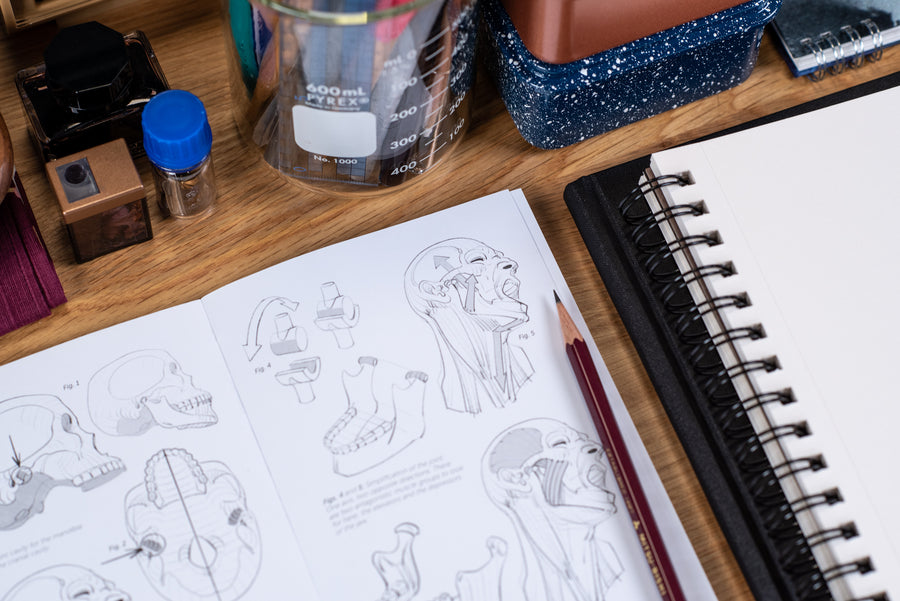 Morpho Anatomy Handbooks: Joint Forms and Muscular Functions