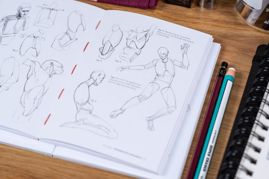Morpho Anatomy Handbooks: Simplified Forms