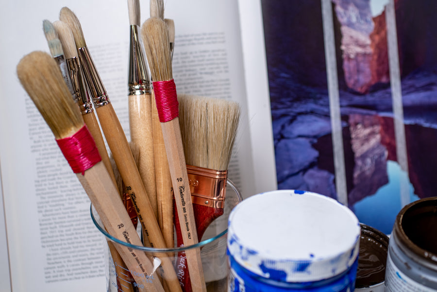 Muccino Bristle Brushes, Series 800